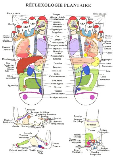 reflexologie-plantaire